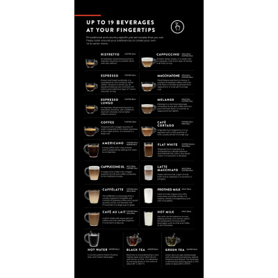 Кавомашина Gaggia Accademia Glass Black RI9781/01