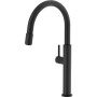 Змішувач FRANKE Pescara Pull Down (115.0545.135)