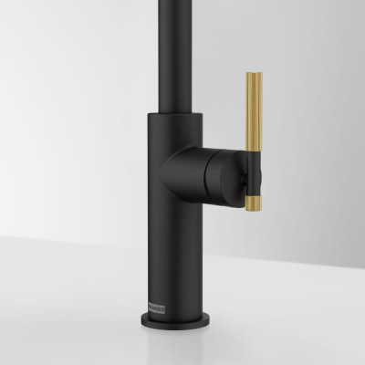 Змеишувач FRANKE Maris Stripes Semi Pro, гусеничный вилив, Bi-Matte Black/Gold (115.0747.679)