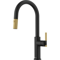 Змішувач FRANKE Maris Stripes J, поворотный витяжний, Bi-Matte Black/Gold (115.0747.673)