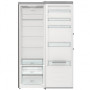 Холодильник Gorenje R 619 EAXL6