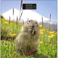 Весы Ardesto напольные Marmot, 150кг, AAAx2 в комплекте, стекло, многоцветные.