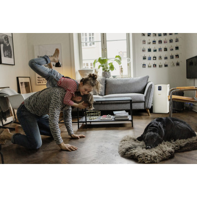 Очищувач повітря Karcher AF 50(1.024-822.0)