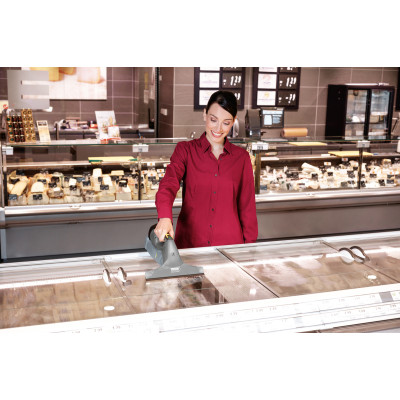 Професійний віконний пилосос Karcher WV 10(1.633-550.0)