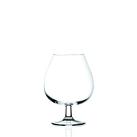 Набір кон'ячних келихів Bergner MasterPro Barware oenology, 670 мл, 2 шт (BGEU-2883)