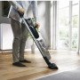 Пилесос Electrolux PF91-ALRGY