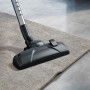 Пилосос Electrolux EEG43WR