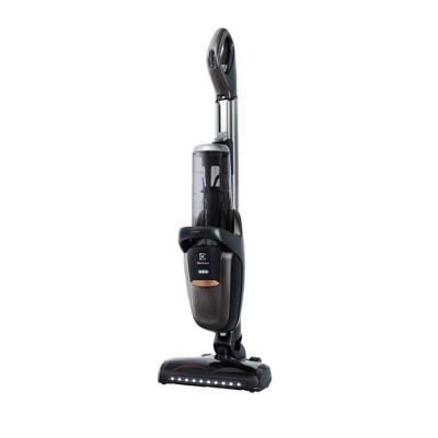 Пилесос Electrolux PF91-4IG