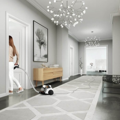 Пилосос Electrolux EUFC8ALRGY