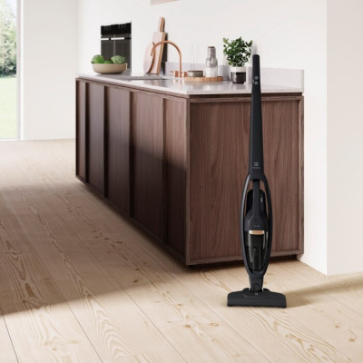 Пилесос Electrolux WQ61-42GG