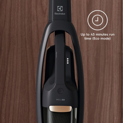 Пилесос Electrolux WQ61-42GG