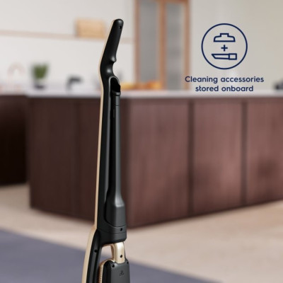 Пылесос Electrolux WQ71-P52SS