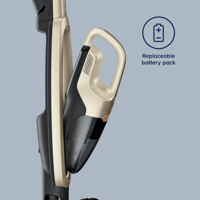 Пылесос Electrolux WQ71-P52SS