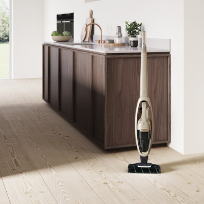 Пылесос Electrolux WQ71-P52SS