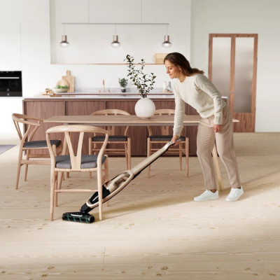 Пылесос Electrolux WQ71-P52SS