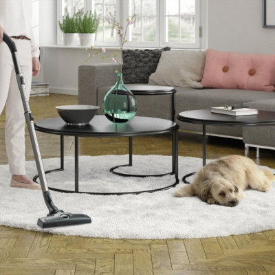 Пилосос Electrolux ESPC74SW