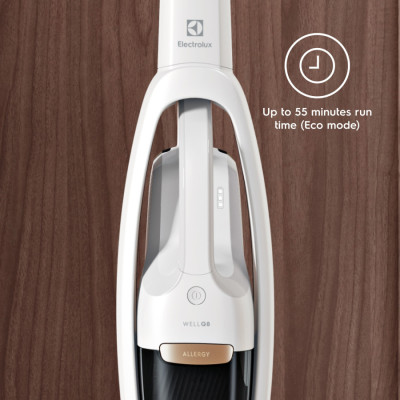 Пилосос Electrolux WQ81-ALRS