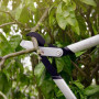 Гілкоріз площинний Fiskars PowerGear S LX92 (1020186)
