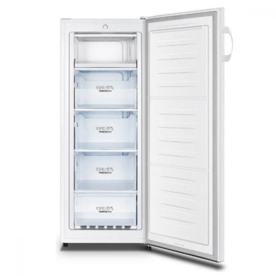 Морозильна камера Gorenje F4142PW