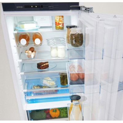 Холодильник вбудований Gorenje RI 2181 A1