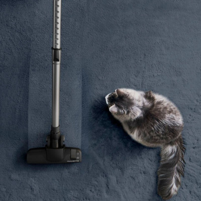 
Пилосос Rowenta RO7C66EA
