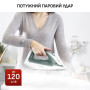 
Праска Tefal FV2C42E0
