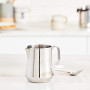 Питчер DeLonghi DLSC 060