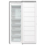 Морозильна камера Gorenje FN619EES5