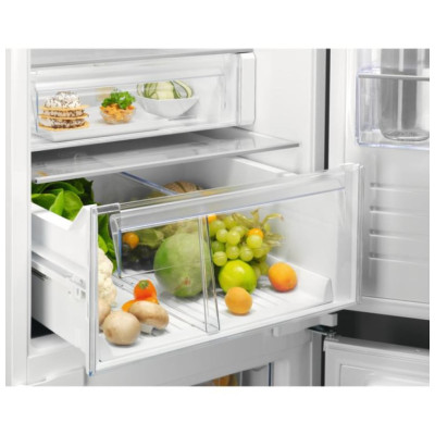 Холодильник вбудований Electrolux RNT6TE19S0