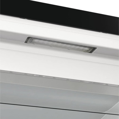 Морозильна камера Gorenje FN 619 EABK6