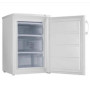 Морозильна камера Gorenje F 49 DPW