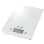 Ваги кухонні Kenwood DS401